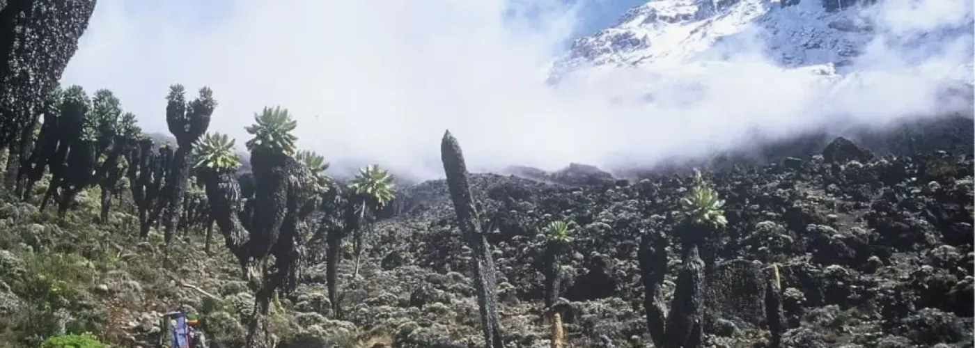 What it’s like on Kilimanjaro?