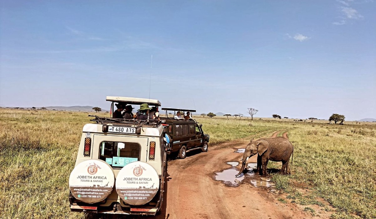 Why Choose Jobeth Africa Safaris?